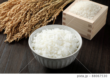 ご飯とお米と稲穂 88067530