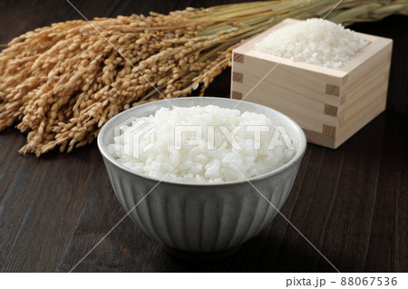 ご飯とお米と稲穂 88067536