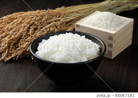 ご飯とお米と稲穂 88067581