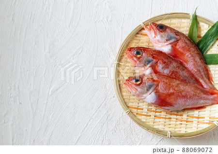 新鮮なのどぐろ 88069072