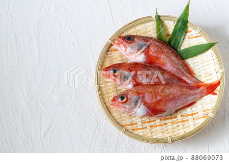 新鮮なのどぐろ 88069073