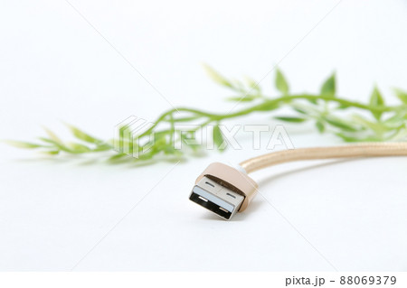 ケーブル, USBケーブル, USB, OA機器, デジタル, パソコン, ビジネス, 接続 88069379
