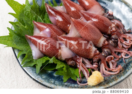 新鮮なホタルイカ 88069410