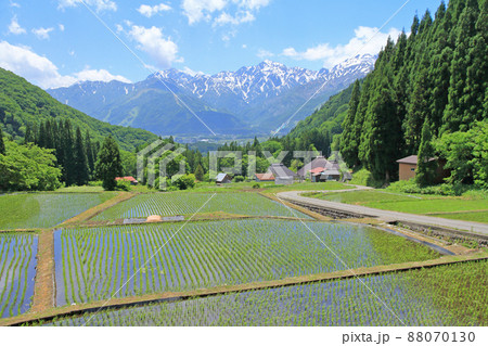 初夏の白馬村青鬼 88070130