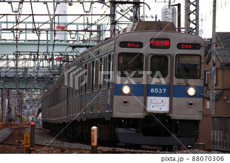 ［DT］東急田園都市線8500系（青帯：Bunkamura号） 88070306