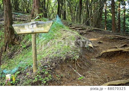足柄山地の矢倉岳 山伏平の峠道 足柄山地の矢倉岳 山伏平の峠道 88070325
