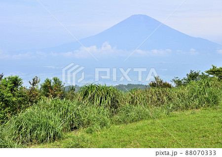 足柄山地の矢倉岳山頂 夏の富士山を眺める 足柄山地の矢倉岳山頂 夏の富士山を眺める 88070333