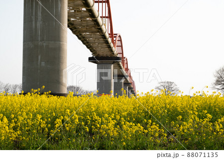 日本一の水管橋の荒川水管橋 日本一の水管橋の荒川水管橋 88071135