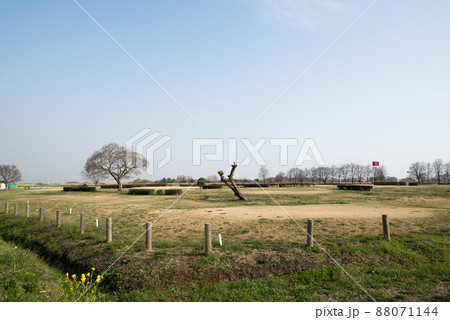 吹上荒川総合運動公園内のパークゴルフ場 吹上荒川総合運動公園内のパークゴルフ場 88071144