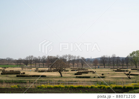 吹上荒川総合運動公園内のパークゴルフ場 吹上荒川総合運動公園内のパークゴルフ場 88071210