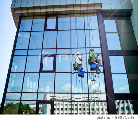 Industrial mountaineering workers washing glass windows of high-rise building, hanging on safety climbing ropes. Two men window cleaners working together outside skyscraper. 88071548