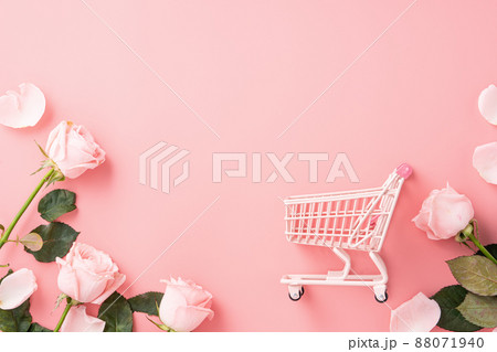 薔薇 バラ科 バラ 88071940