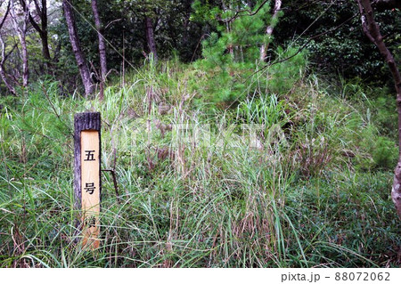 宮内古墳群 88072062