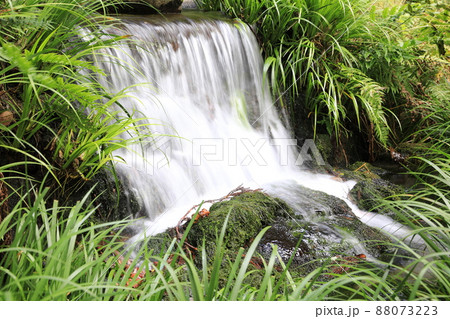 湧水池から流れ落ちる水 88073223