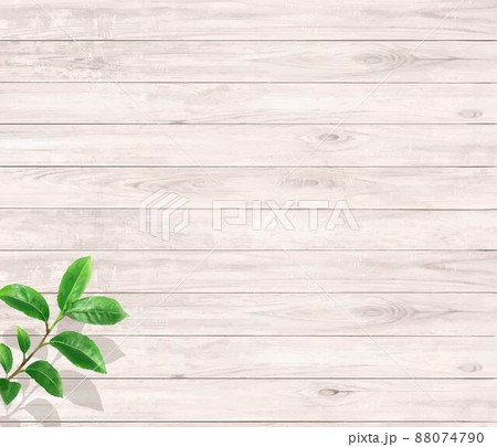 ぬくもりのある色調の木目の白い板と初夏の葉っぱのおしゃれな壁紙や背景素材 88074790