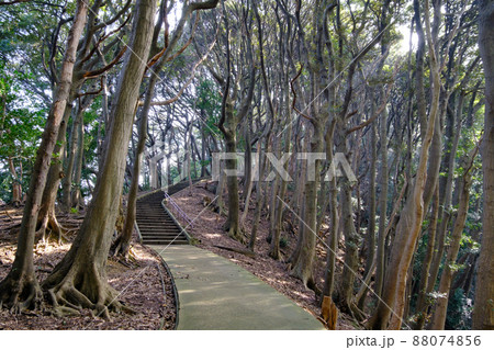 福井県敦賀市　金ヶ崎宮と金ヶ崎城跡 88074856