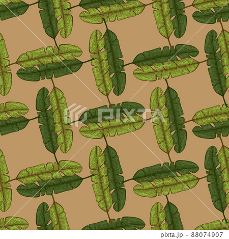 Banana leaves seamless pattern.Vintage tropical branch in engraving style. Banana leaves seamless pattern.Vintage tropical branch in engraving style. 88074907