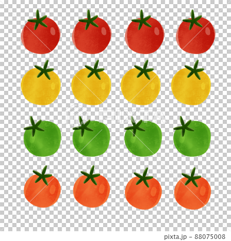 Summer vegetables: Hand-drawn illustration of cherry tomatoes 88075008