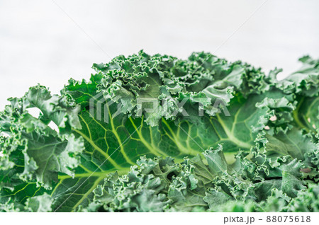 スーパーフード　カリーノケール 88075618