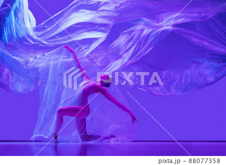 Portrait of beautiful flexible woman, ballerina dancing with cloth on purple studio background in neon. Fashion, style, art, beauty Portrait of beautiful flexible woman, ballerina dancing with cloth on purple studio background in neon. Fashion, style, art, beauty 88077358