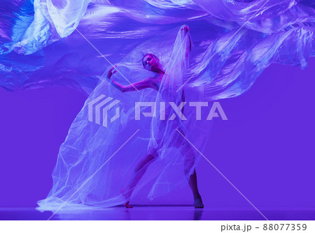 Portrait of beautiful flexible woman, ballerina dancing with cloth on purple studio background in neon. Fashion, style, art, beauty Portrait of beautiful flexible woman, ballerina dancing with cloth on purple studio background in neon. Fashion, style, art, beauty 88077359
