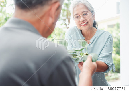 A happy and smiling Asian old elderly woman is planting for a hobby after retirement with her husband. Concept of a happy lifestyle and good health for seniors. A happy and smiling Asian old elderly woman is planting for a hobby after retirement with her husband. Concept of a happy lifestyle and good health for seniors. 88077771