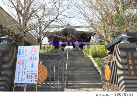赤塚山乗蓮寺(じょうれんじ)石段と山門 東京都板橋区 赤塚山乗蓮寺(じょうれんじ)石段と山門 東京都板橋区 88078253