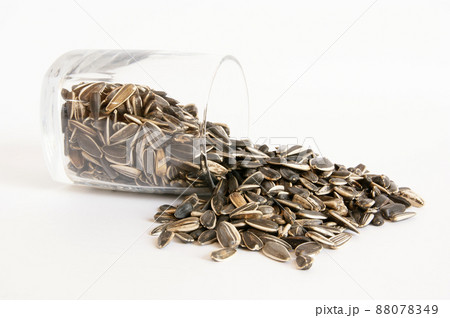 A handful of sunflower seeds, isolated on a white background 88078349