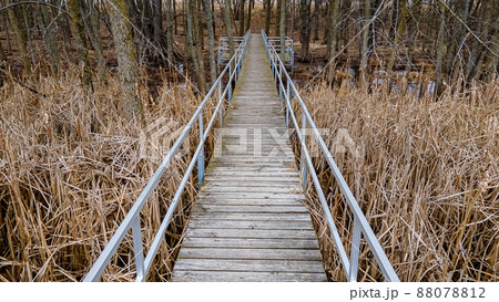 Looking from this bridge signs of spring shows 88078812