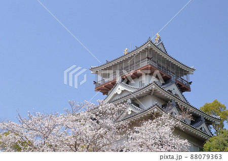 桜とお城（岩崎城　愛知県 日進市） 88079363