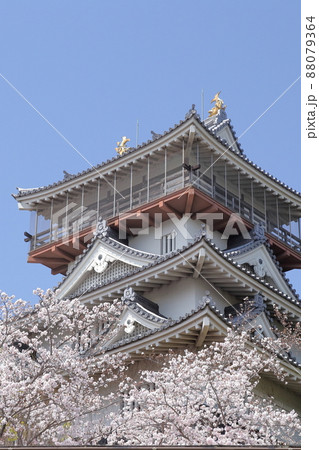 桜とお城(岩崎城 愛知県 日進市) 桜とお城(岩崎城 愛知県 日進市) 88079364