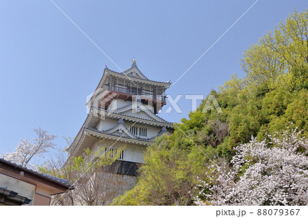 桜とお城（岩崎城　愛知県 日進市） 88079367