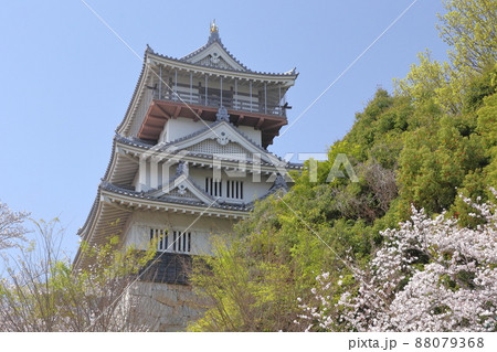 桜とお城（岩崎城　愛知県 日進市） 88079368