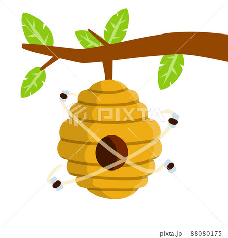 Hive. House of wasp and insect on tree Hive. House of wasp and insect on tree 88080175
