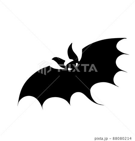 Silhouette of bat. Halloween and horror Silhouette of bat. Halloween and horror 88080214