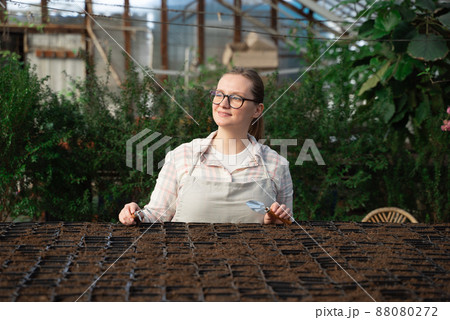 Young woman stands near table with seedlings in large greenhouse and holds rake and shovel in her hands. Gardening, seedlings, sales Young woman stands near table with seedlings in large greenhouse and holds rake and shovel in her hands. Gardening, seedlings, sales 88080272