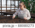 Young woman stands near table with seedlings in large greenhouse and holds rake and shovel in her hands. Gardening, seedlings, sales 88080273
