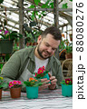 Young farmer inspects pots of flowers before selling and smiles. Gardening, seedlings, sales 88080276