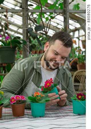 Young farmer inspects pots of flowers before selling and smiles. Gardening, seedlings, sales 88080276
