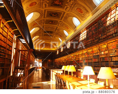 フランス・パリのリュクサンブール宮殿内 88080376