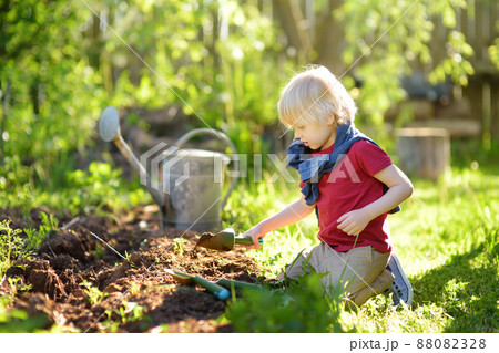 Preschooler boy digging shovel in backyard at summer sunny day. Little gardener. Seasonal working in garden. 88082328