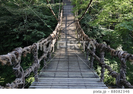 〔福井県池田町・7月〕スリル満天。全国的にも珍しいカズラのつり橋（通称、「かずら橋」） 88082346