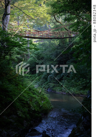 〔福井県池田町・7月〕奥深い自然のパワースポット「かずら橋」の早朝模様 〔福井県池田町・7月〕奥深い自然のパワースポット「かずら橋」の早朝模様 88082348