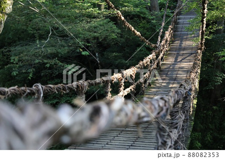 〔福井県池田町・7月〕自然の力を活用した見事な造形美「かずら橋」 〔福井県池田町・7月〕自然の力を活用した見事な造形美「かずら橋」 88082353