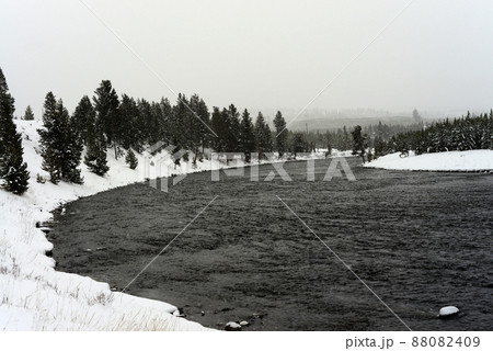 Yellowstone Winter Snow Madison River Yellowstone Winter Snow Madison River 88082409