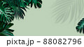 Tropical leaves banner on green background with leaf shadow 88082796