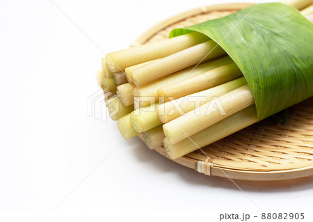 Lotus stem on white background. 88082905