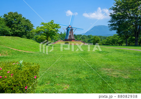 グリーンフラワー牧場　赤城山方向　オランダ型風車　初夏の風景　　　 88082938