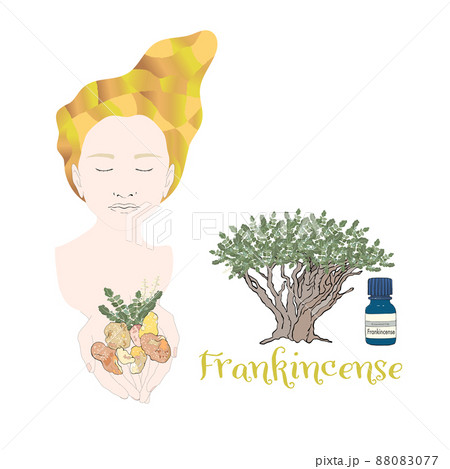 フランキンセンスのイメージ女性・フランキンセンス・精油&アロマ フランキンセンスのイメージ女性・フランキンセンス・精油&アロマ 88083077