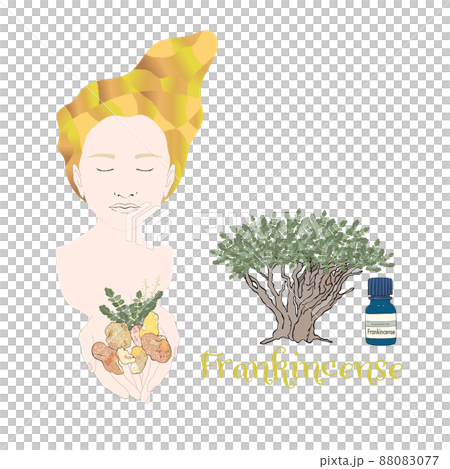 フランキンセンスのイメージ女性・フランキンセンス・精油&アロマ フランキンセンスのイメージ女性・フランキンセンス・精油&アロマ 88083077